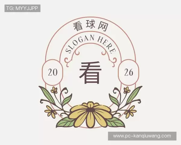 介绍看球网
